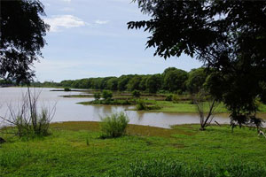 Reserva Ecológica Costanera Sur