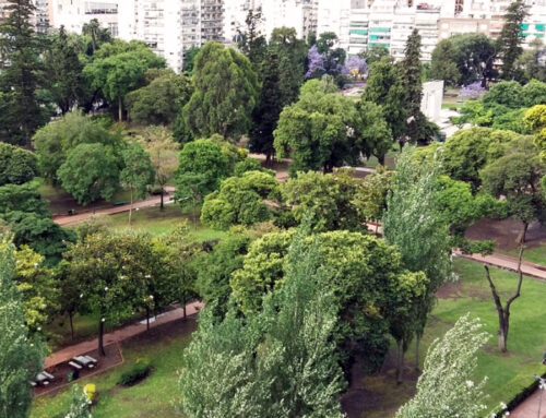 Rivadavia Park