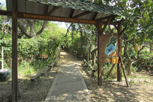Vicente López Ecological Reserve