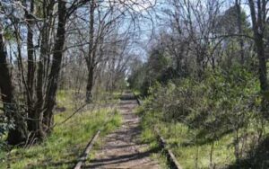 what to do in carlos keen