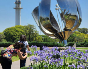 floralis generica